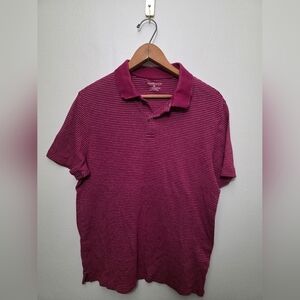 Van Heusen Men's Burgundy Striped Polo Shirt